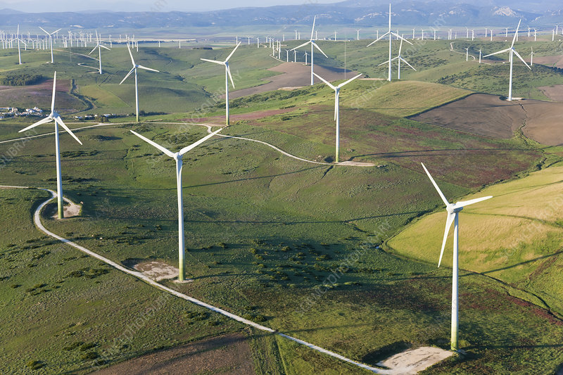 Wind turbines in a field